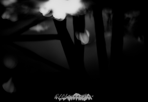Black White Series