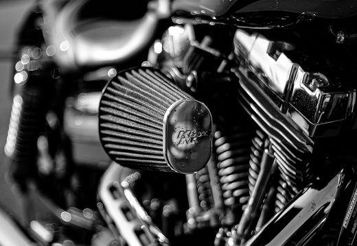 20200508182402 N64A1393 (2)