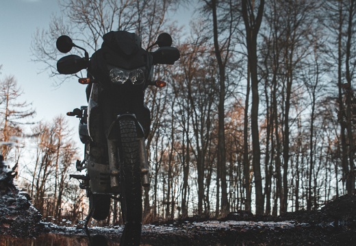 IMG 1006-Verbessert-Bearbeitet